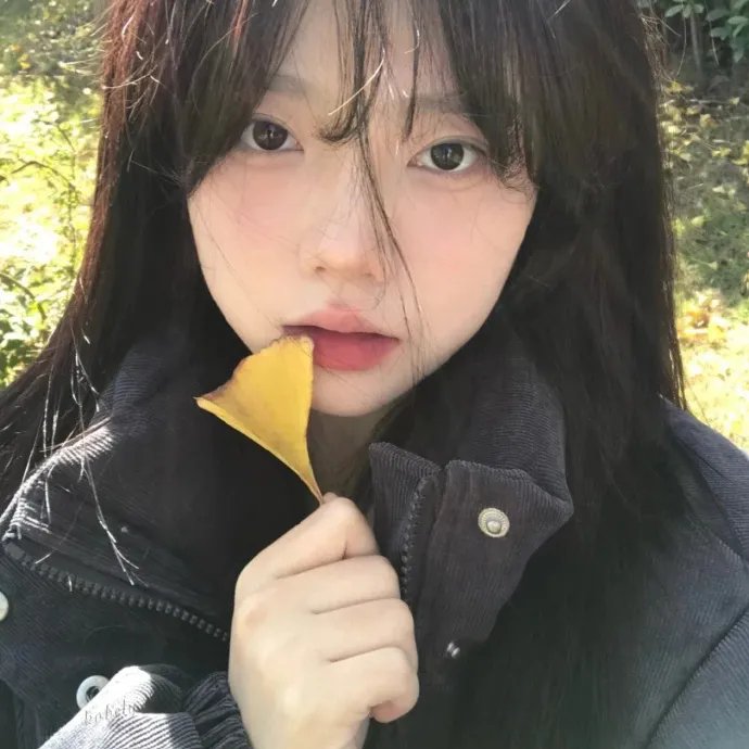 抱着黄金飞翔